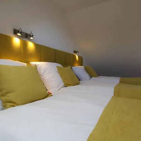 营地 自动露营公园