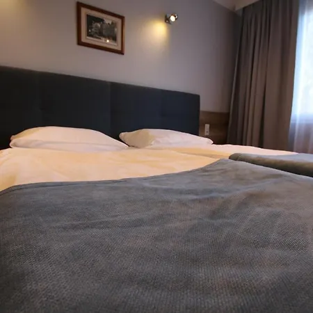 营地 自动露营公园